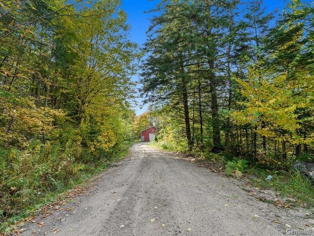 Wooded area