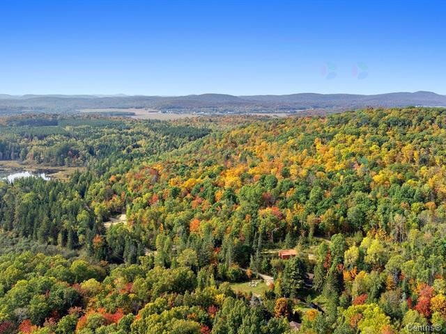 Wooded area