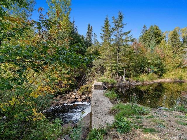 Wooded area