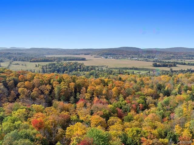 Wooded area