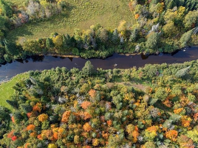 Wooded area
