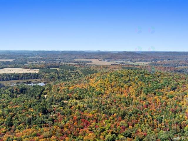 Wooded area