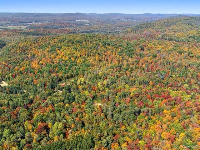 Wooded area