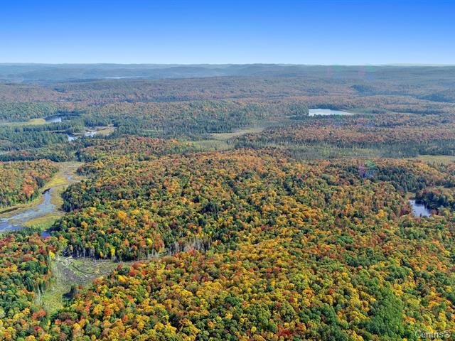 Wooded area
