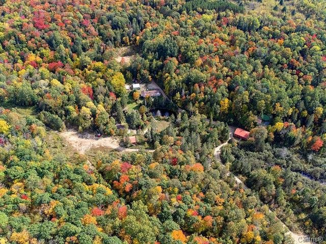 Wooded area