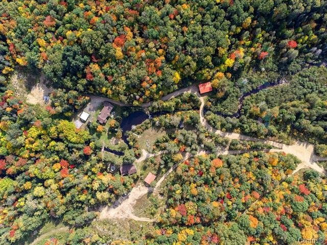 Wooded area