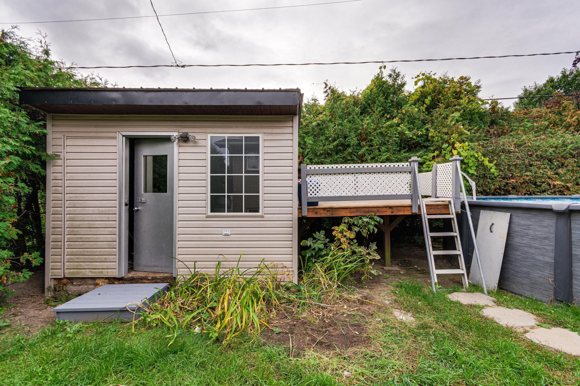 Shed