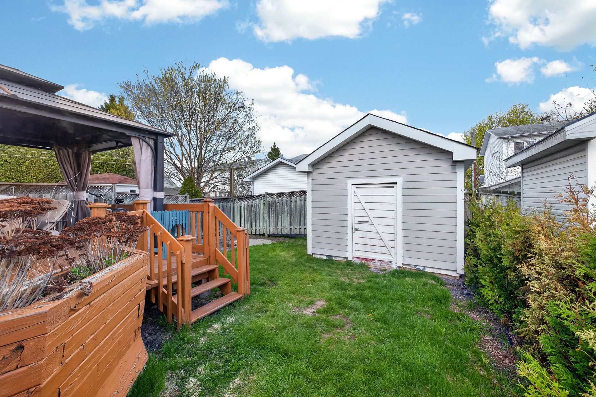 Backyard