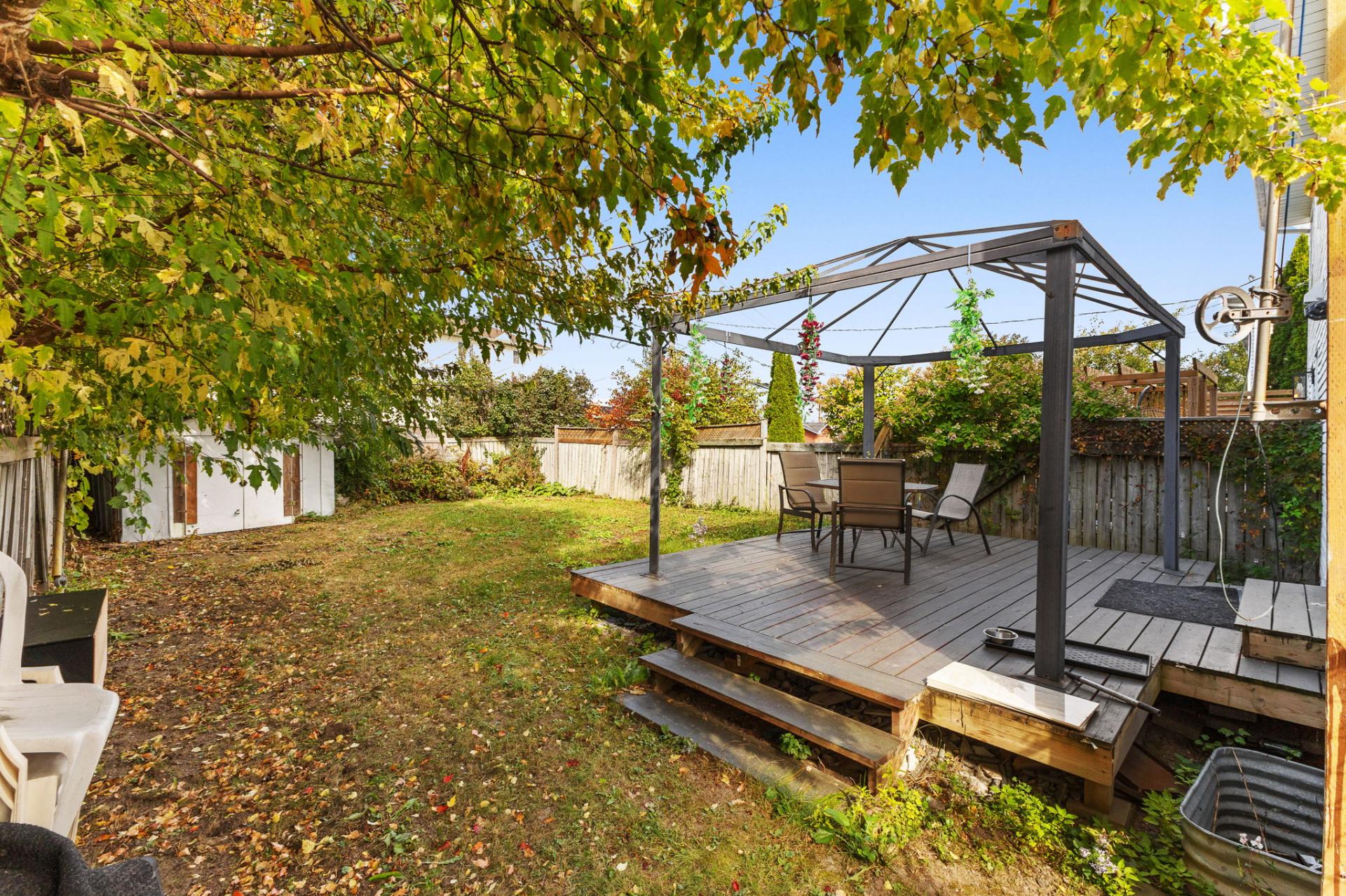 Backyard