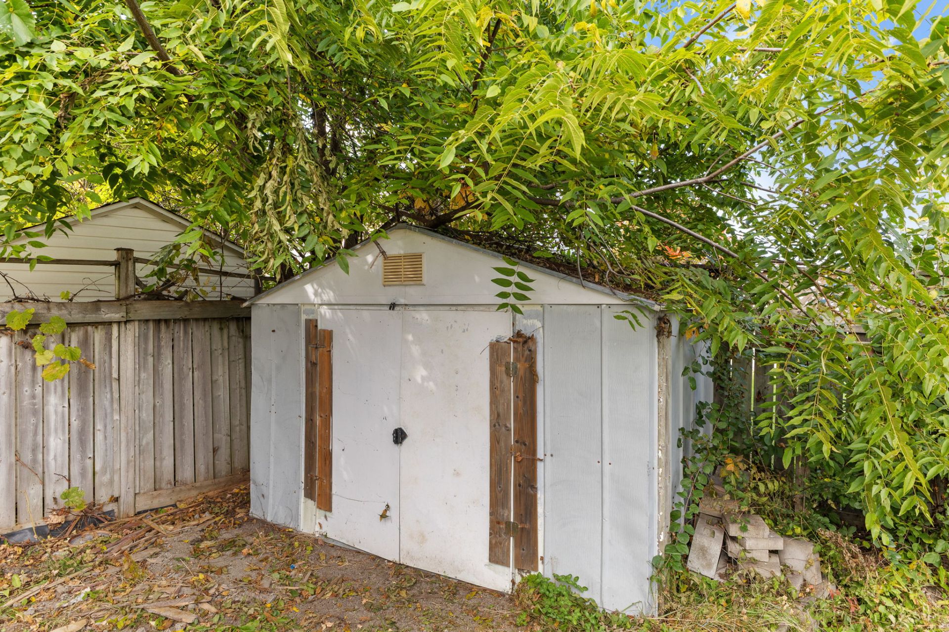 Shed