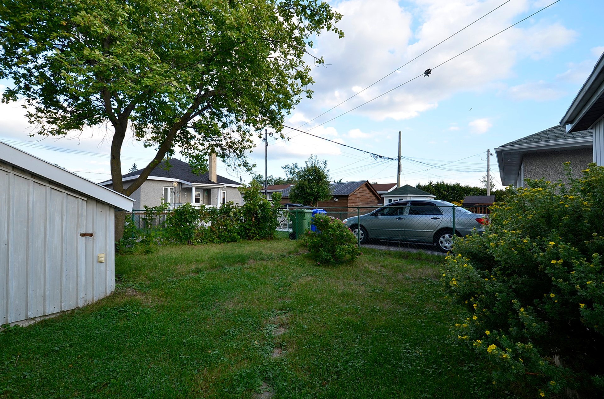 Backyard