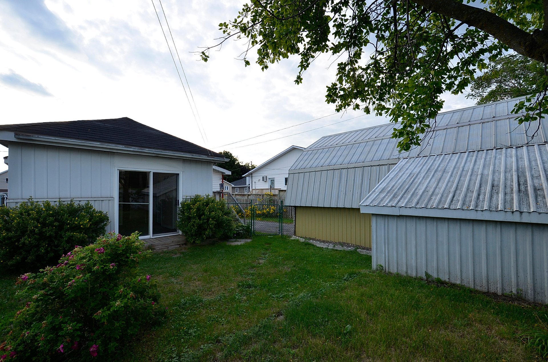 Backyard