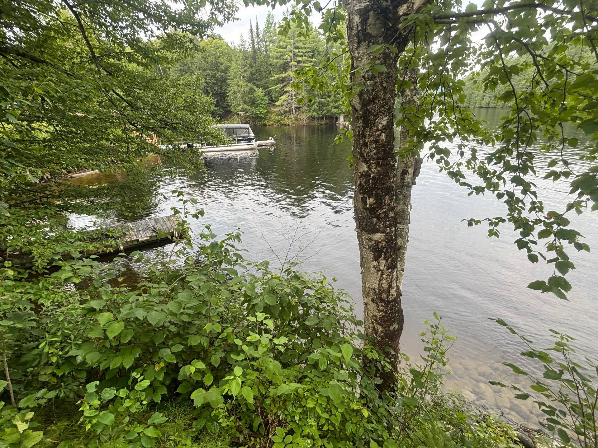 Bord de l'eau