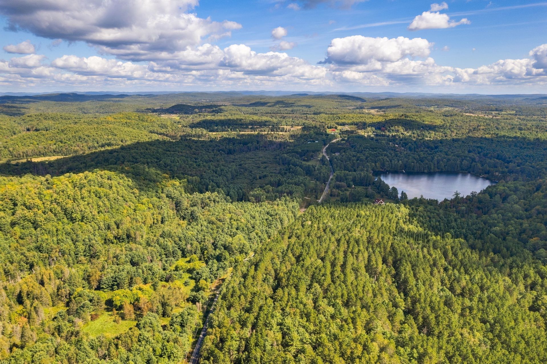 Aerial photo