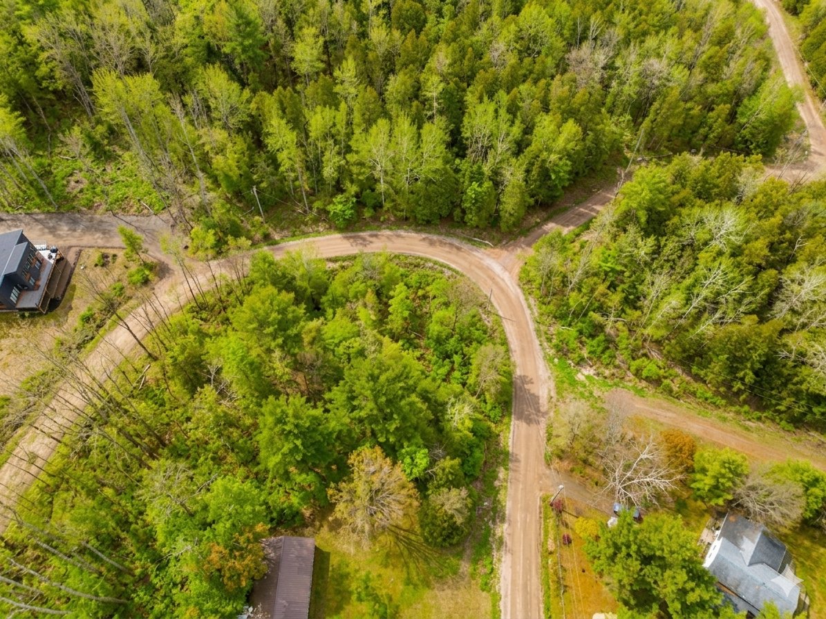Aerial photo