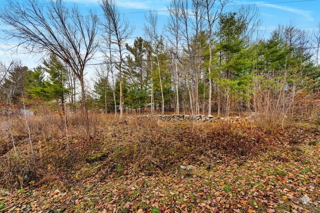 Land/Lot