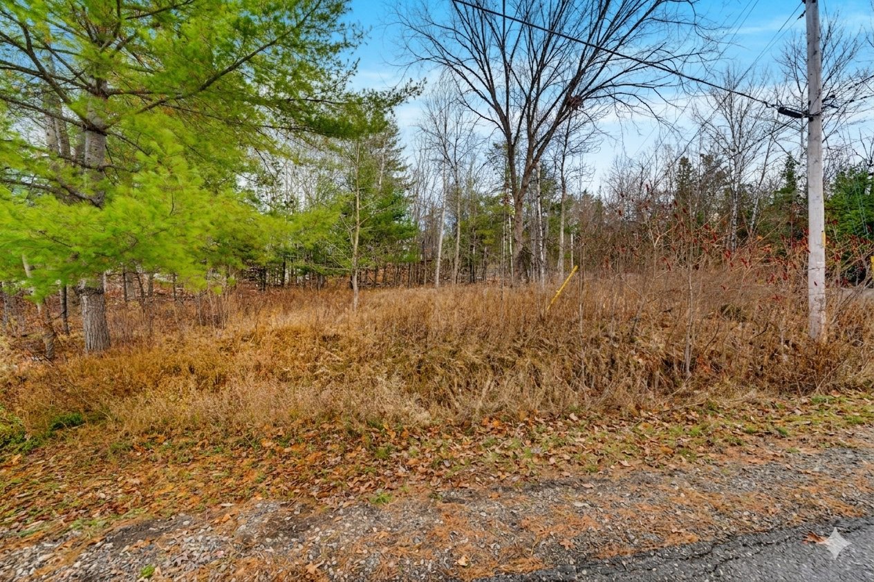 Land/Lot