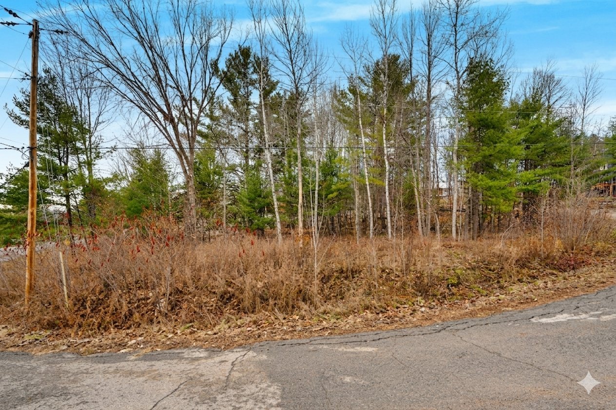 Land/Lot