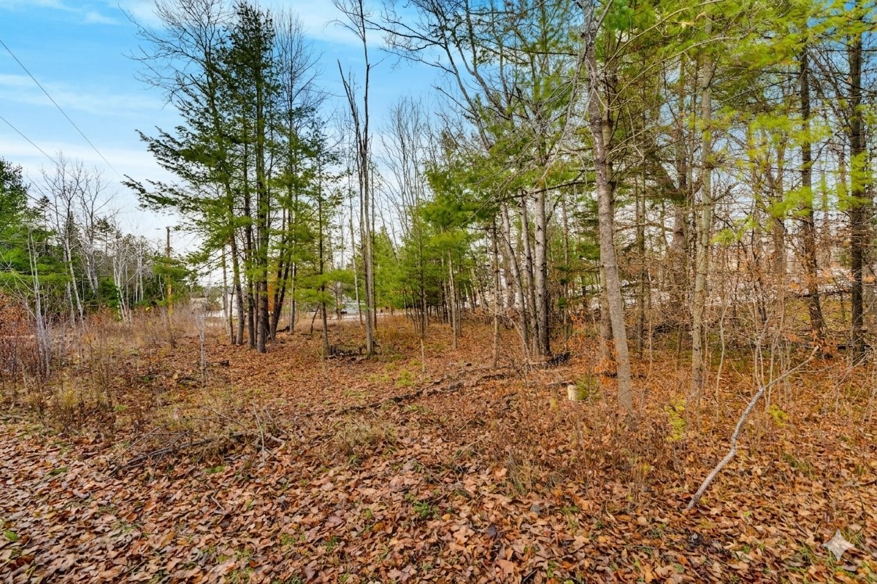 Land/Lot