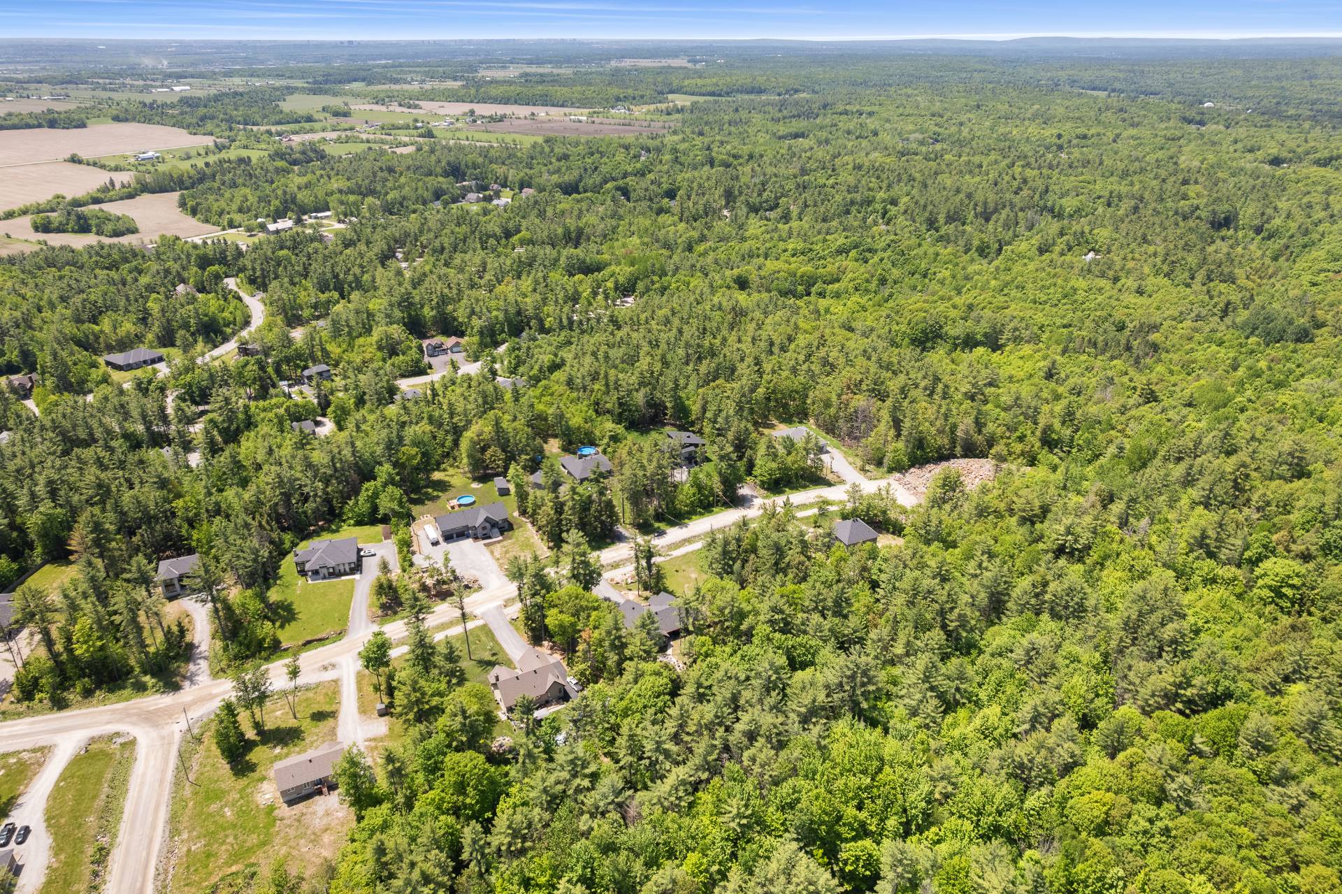 Overall View