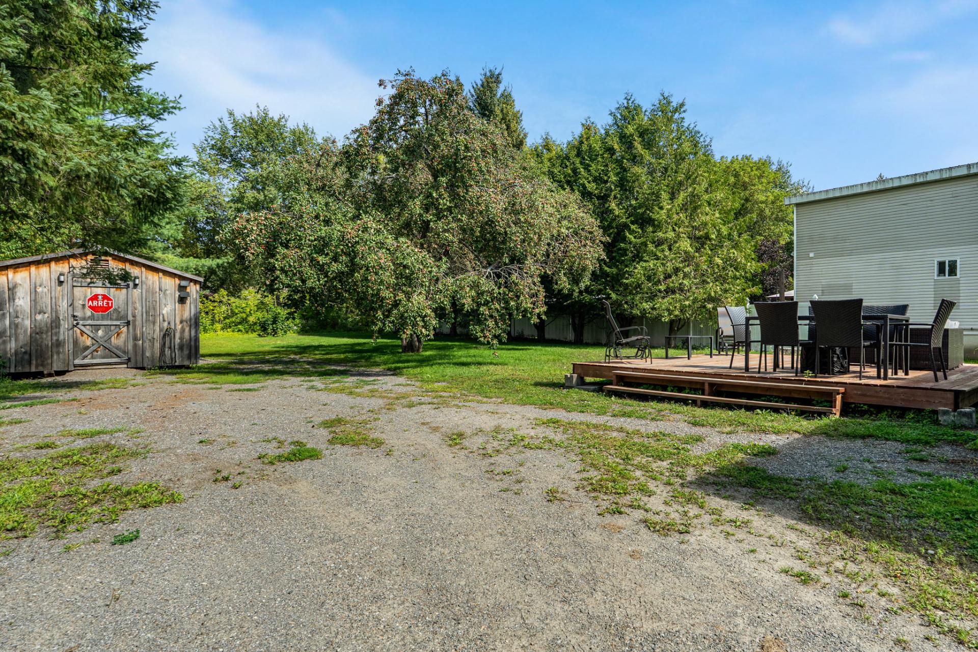 Backyard