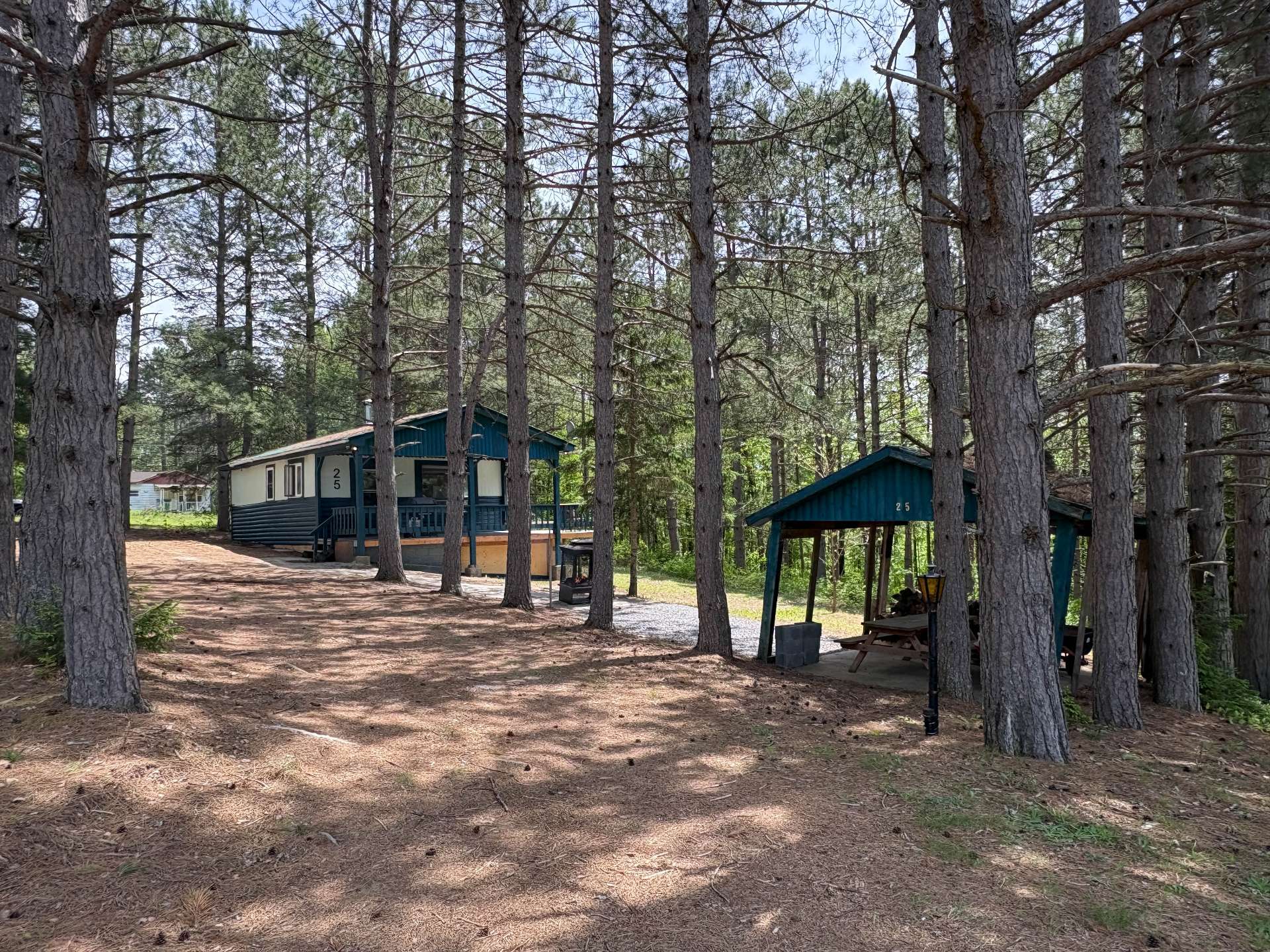 Overall View