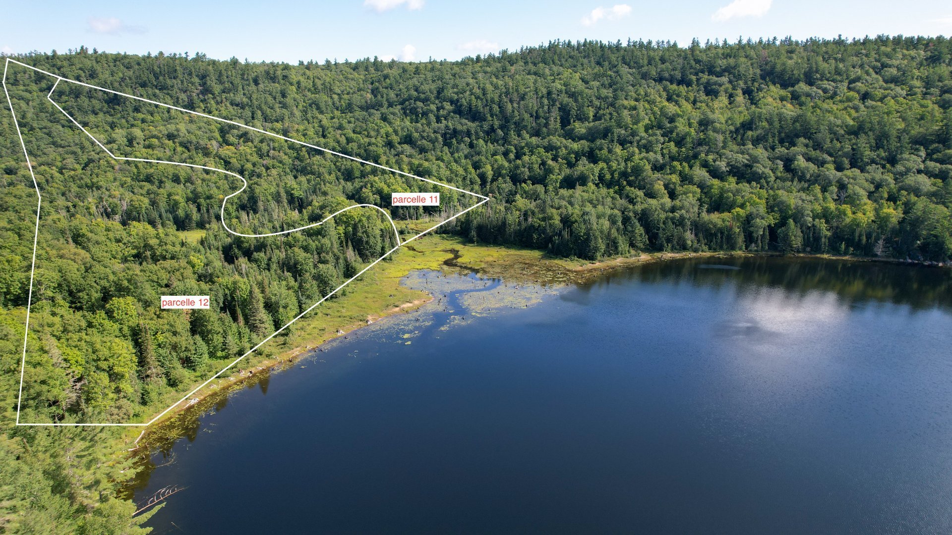 Land/Lot