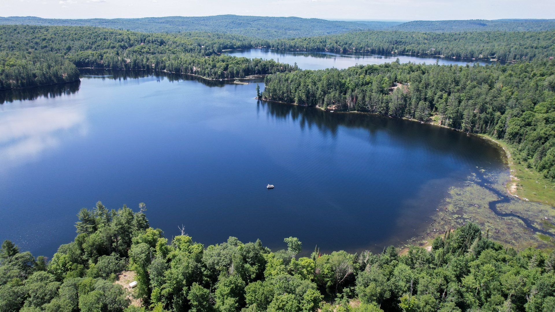 Aerial photo