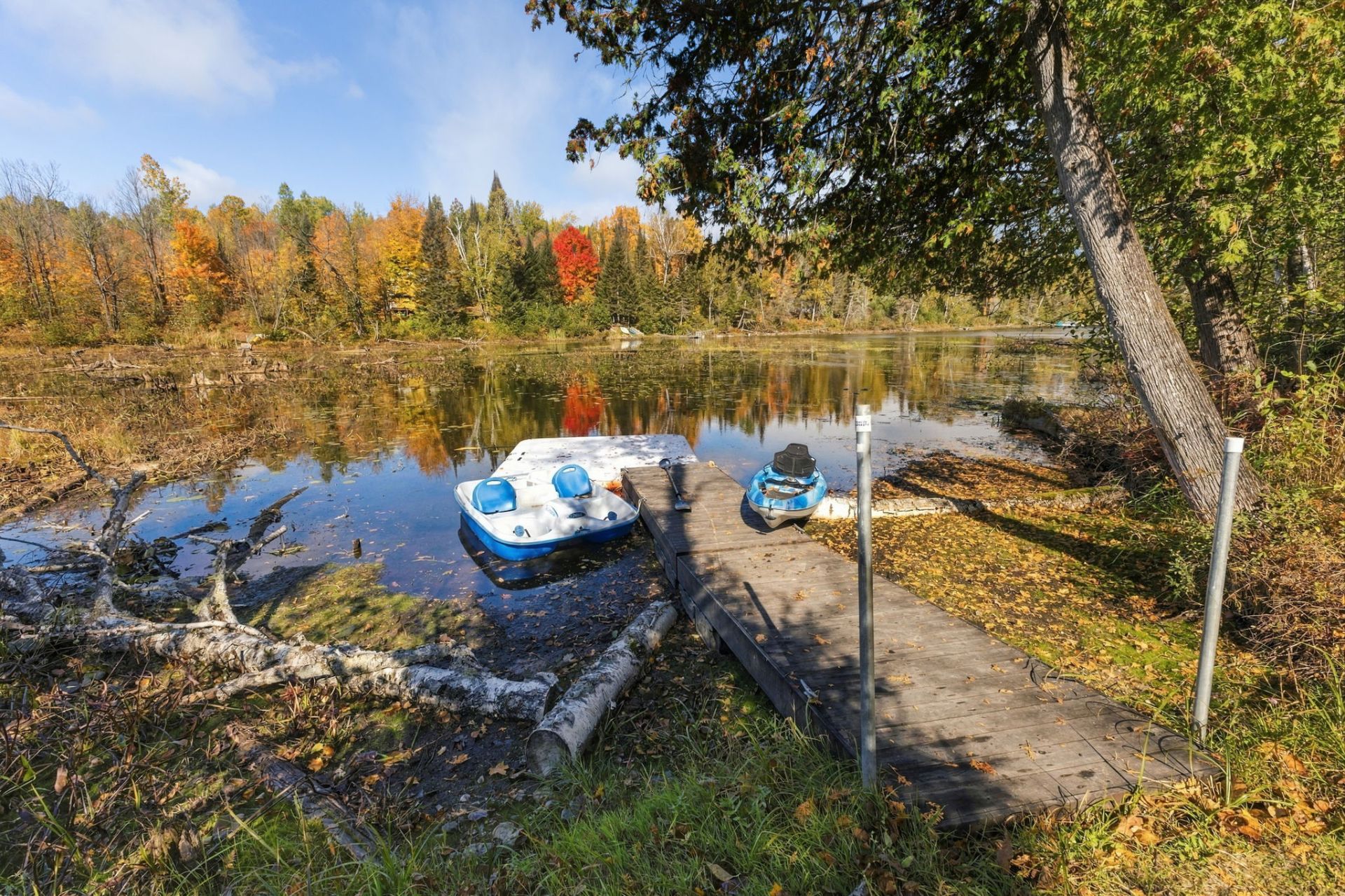 Bord de l'eau