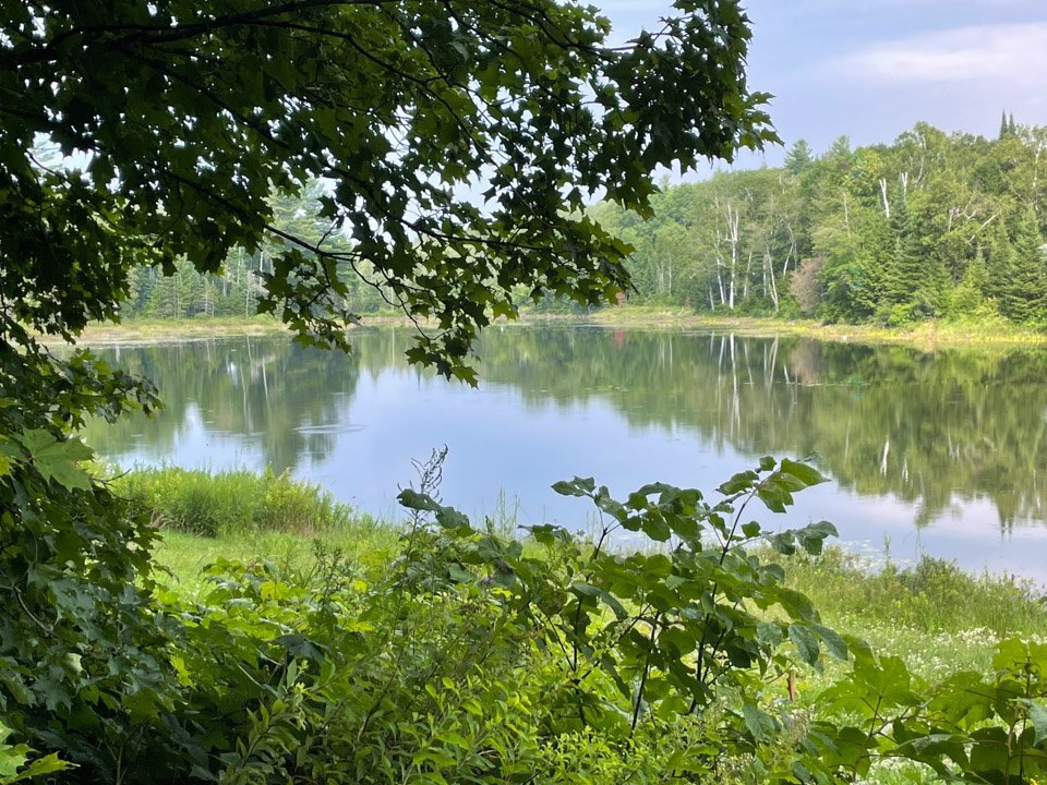 Bord de l'eau
