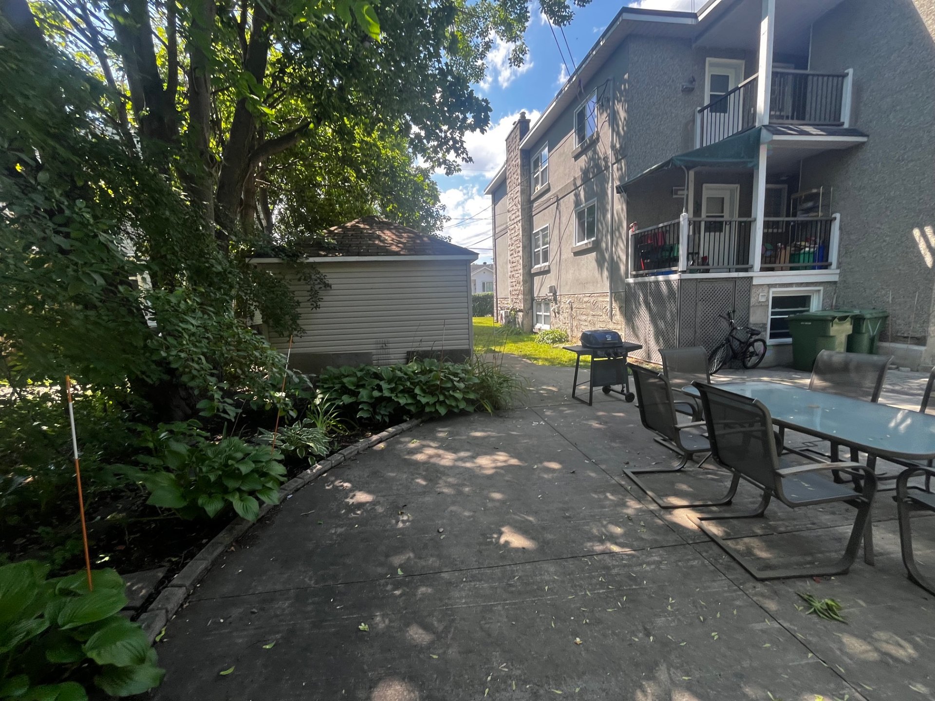 Backyard