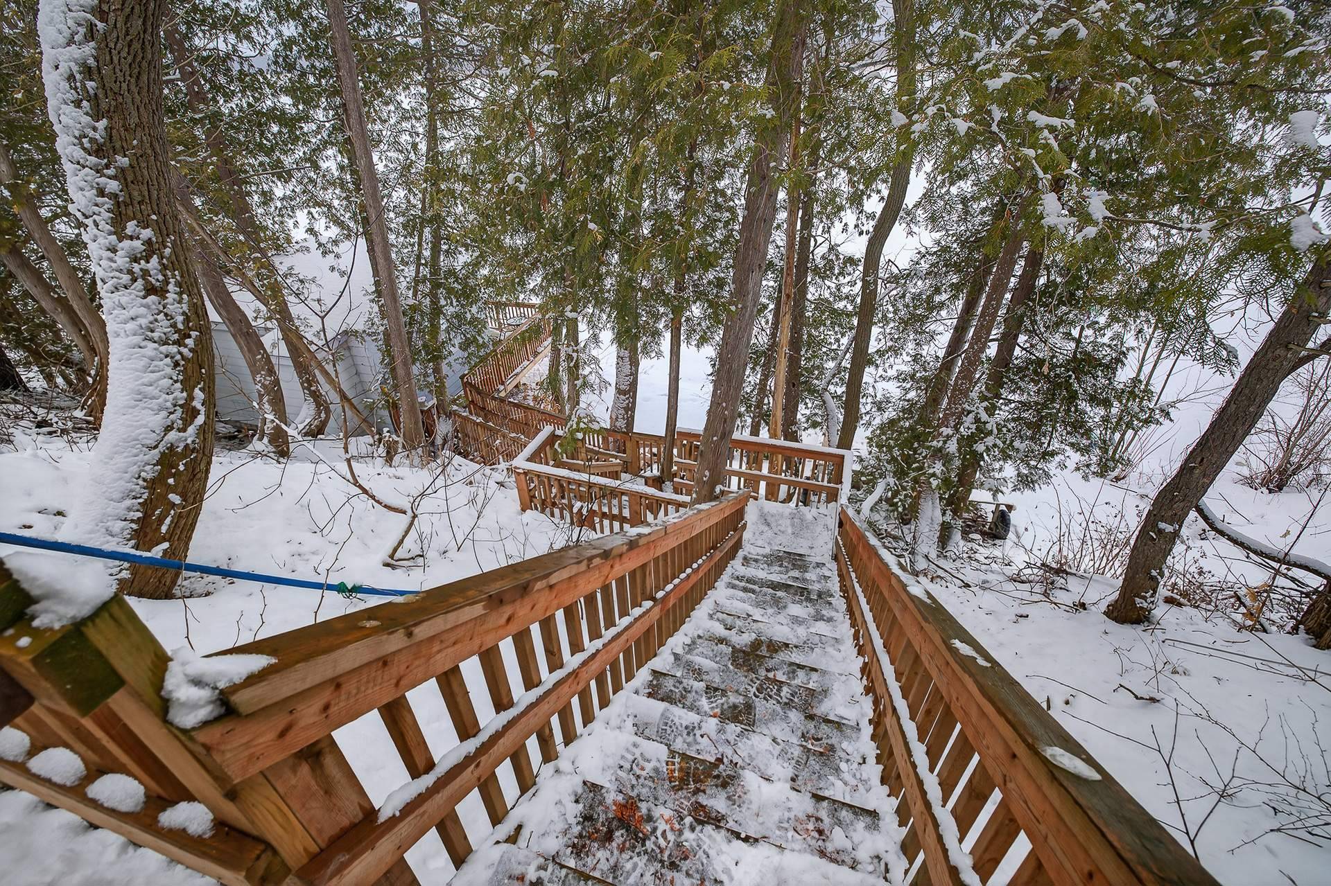 Winter picture