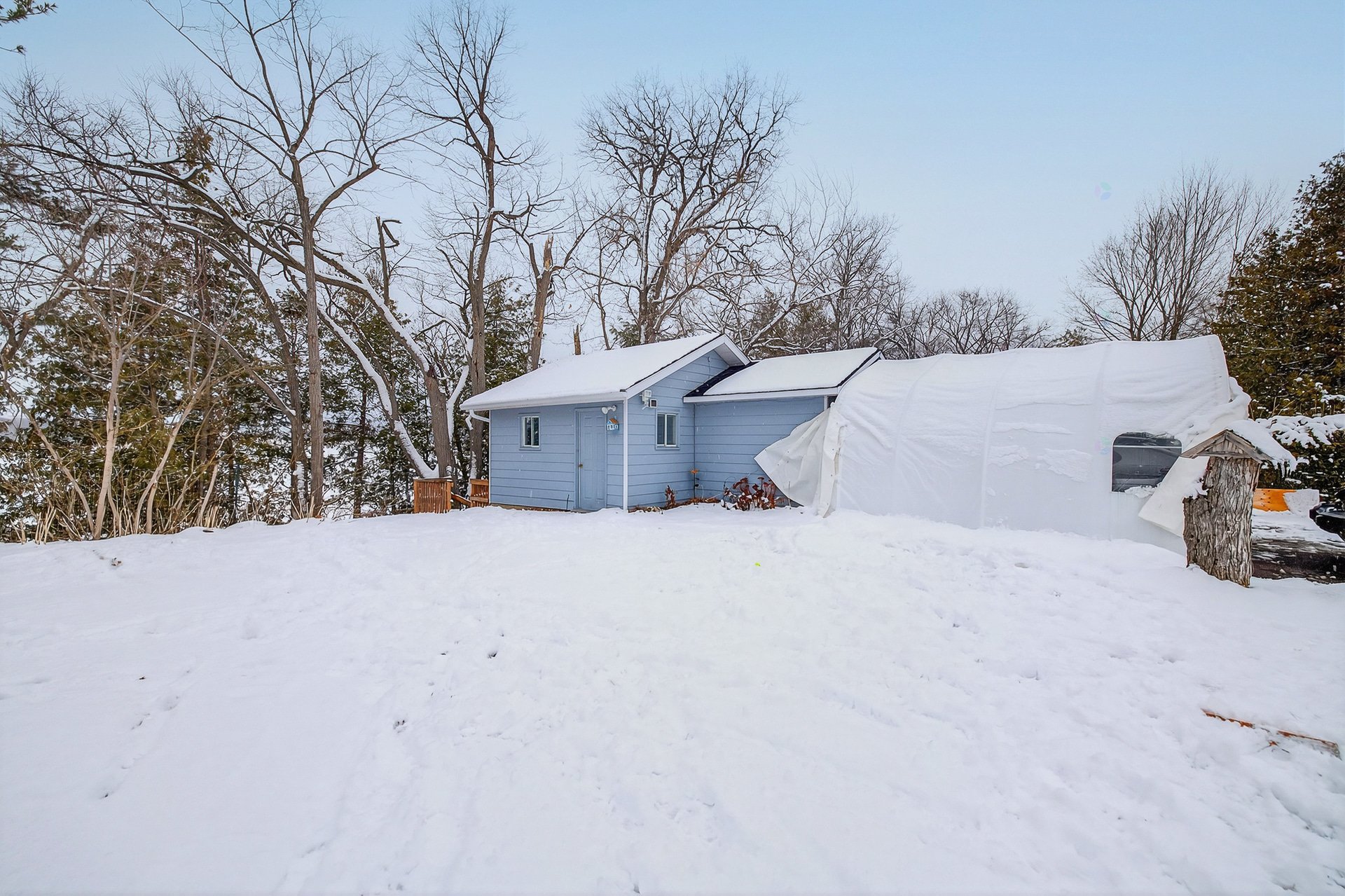 Winter picture