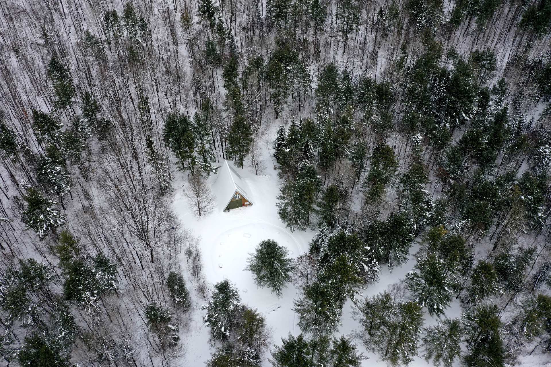 Aerial photo