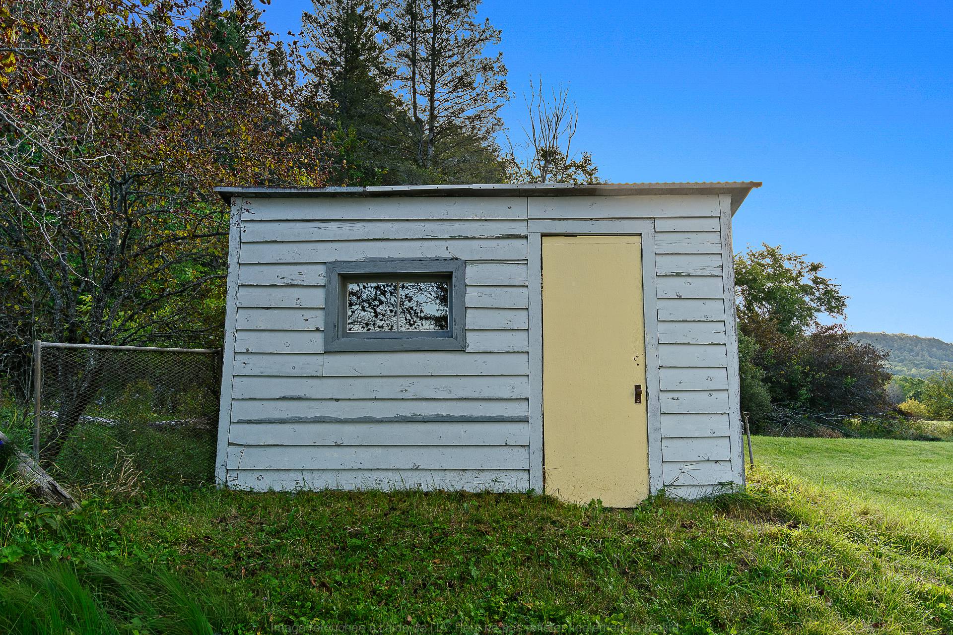 Shed