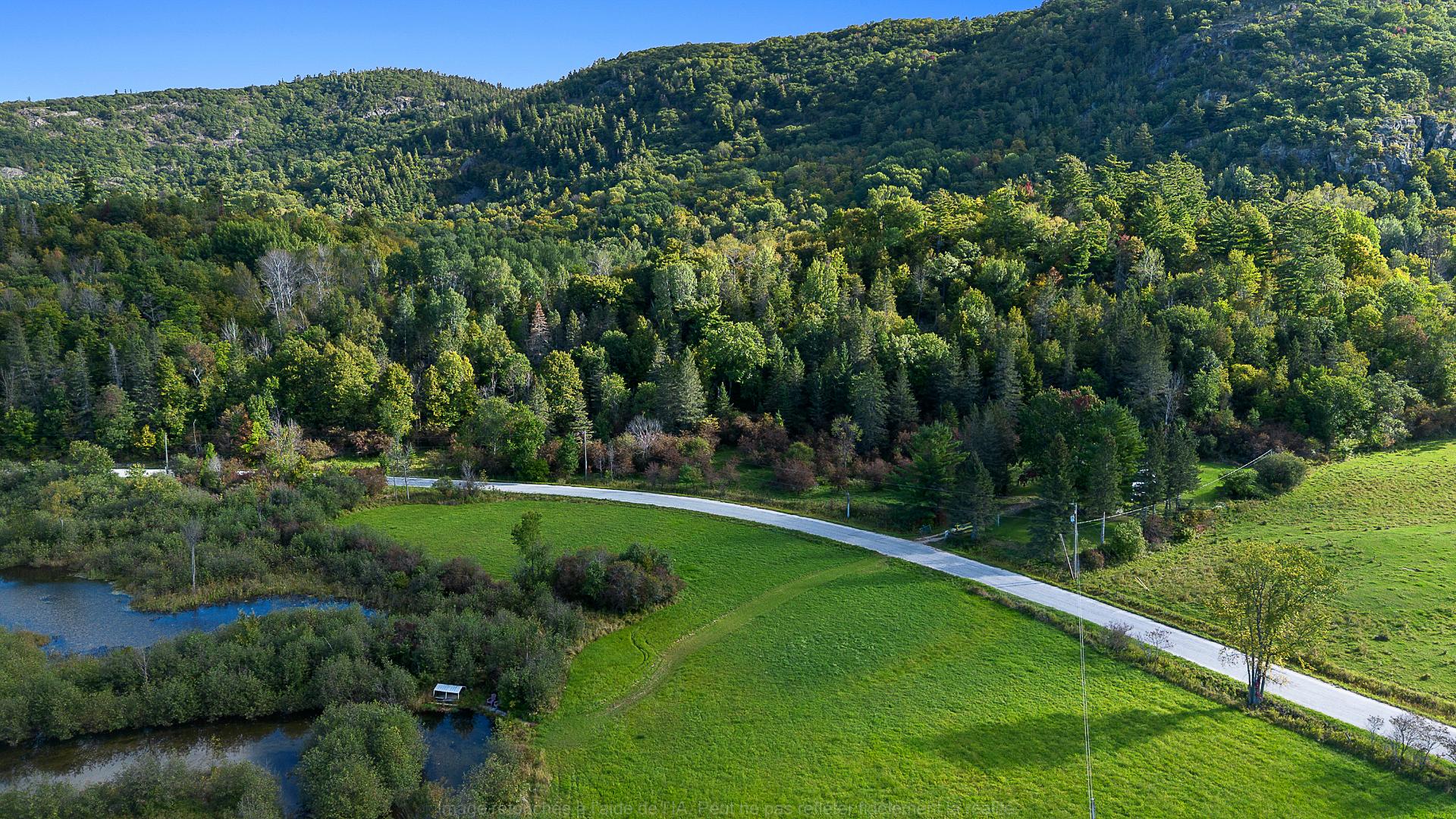 Overall view
