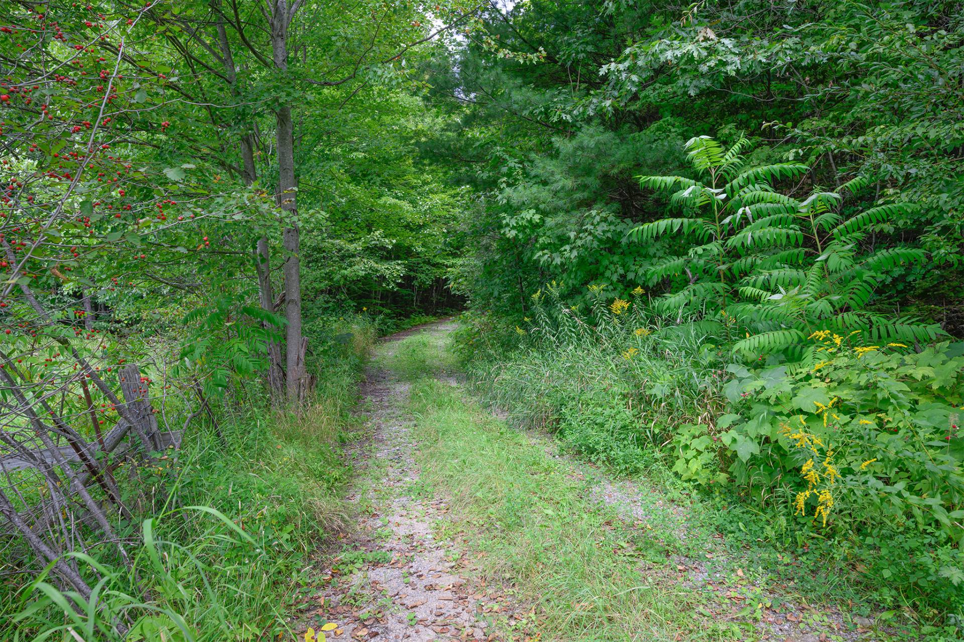 Land/Lot