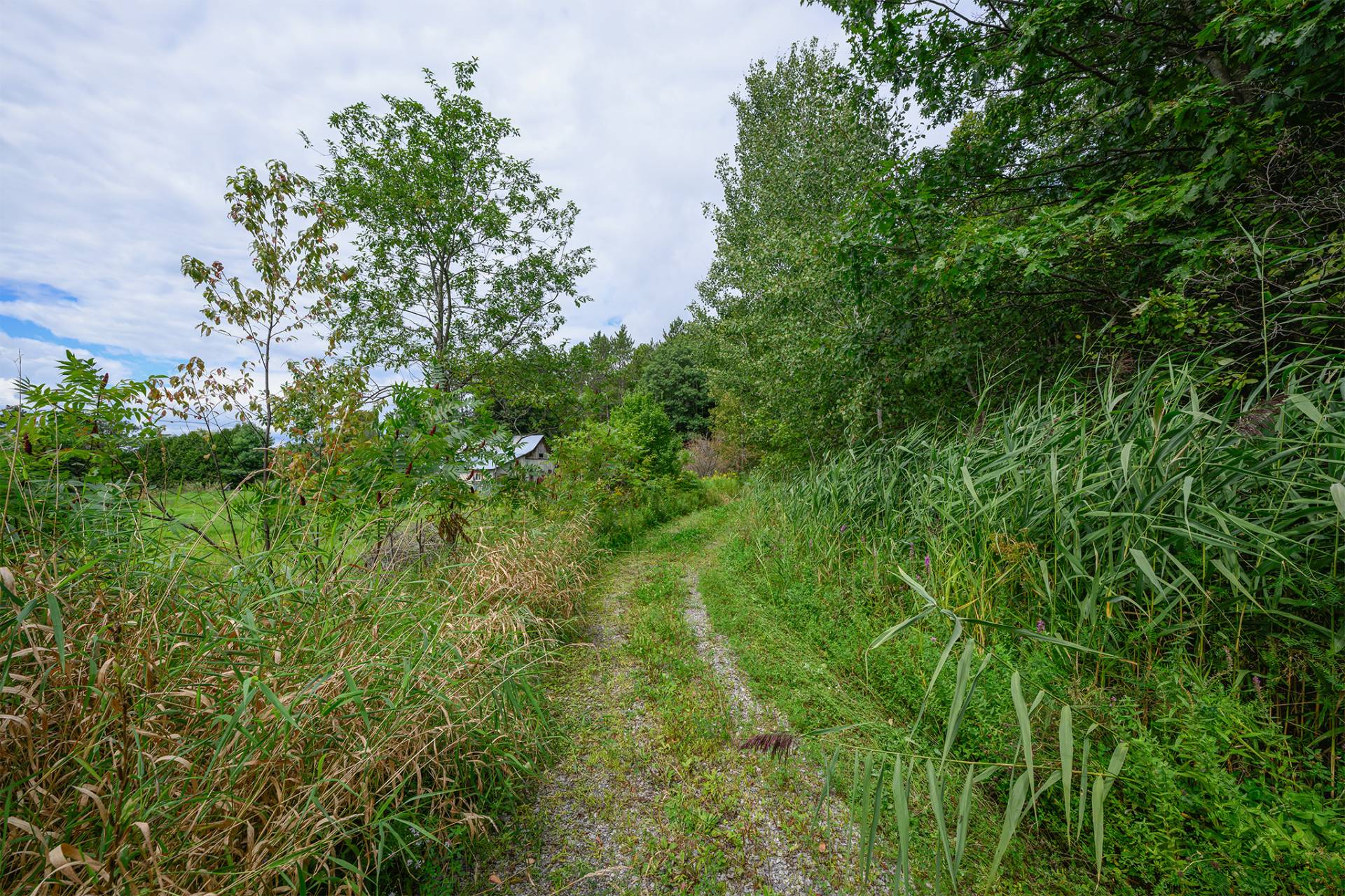 Land/Lot