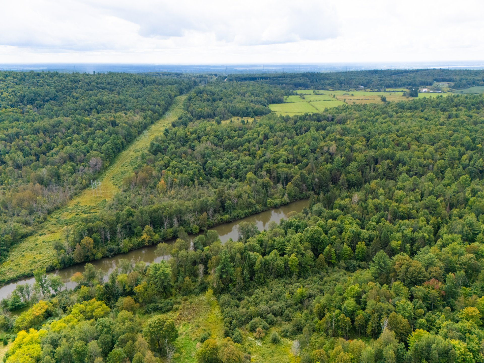 Aerial photo