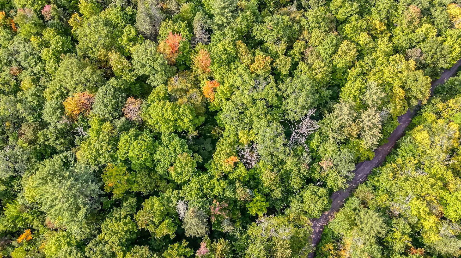 Aerial photo