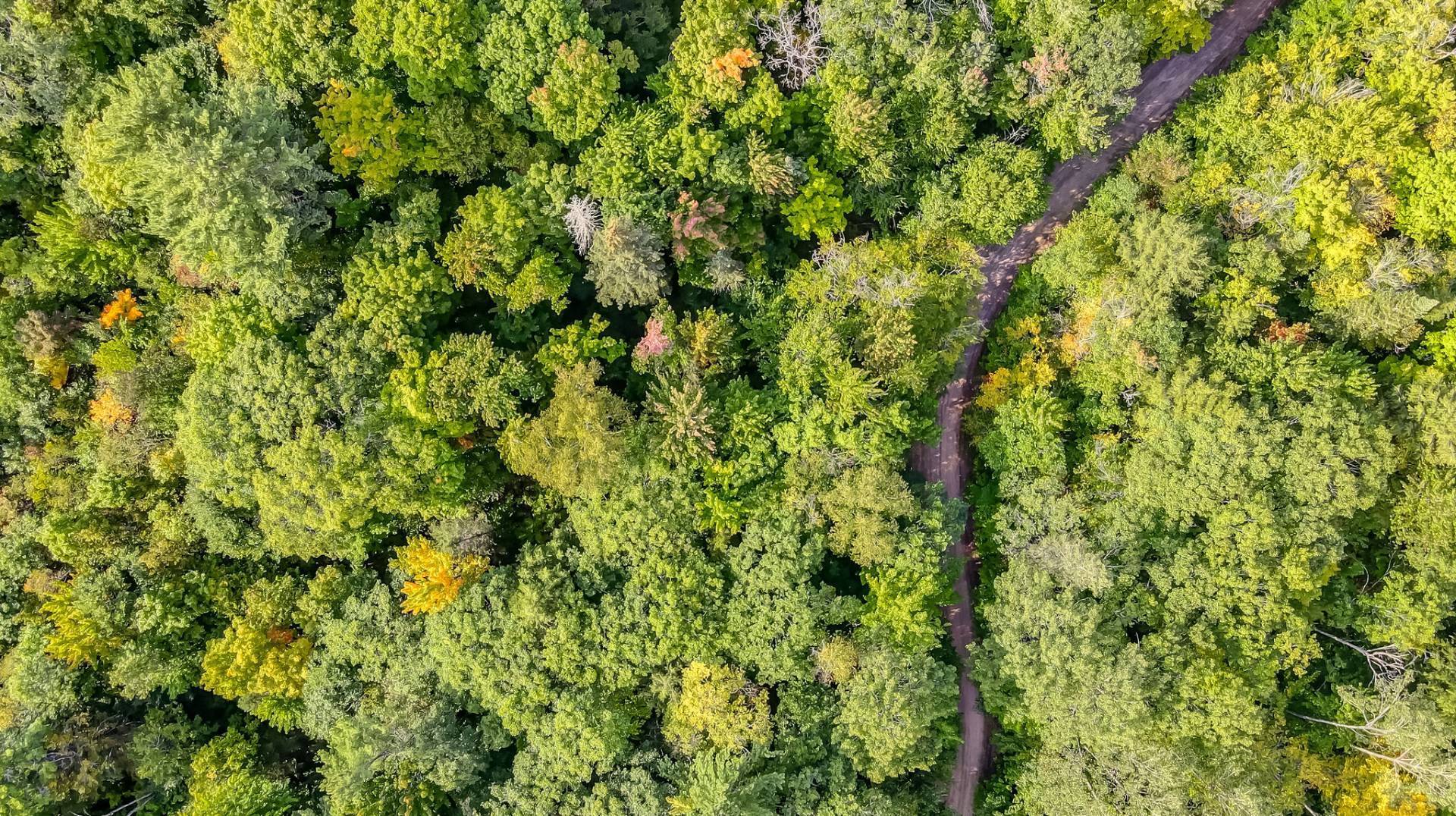 Aerial photo
