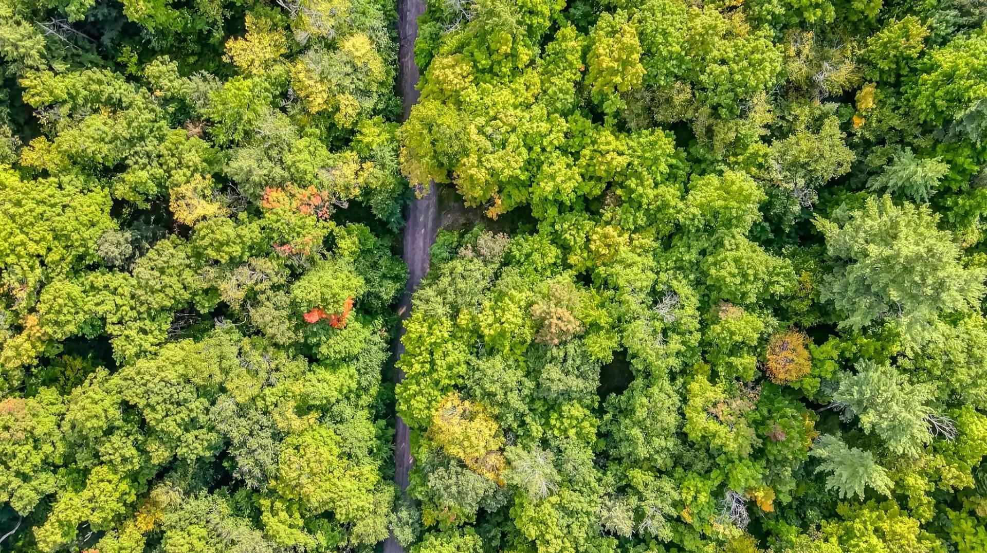 Aerial photo