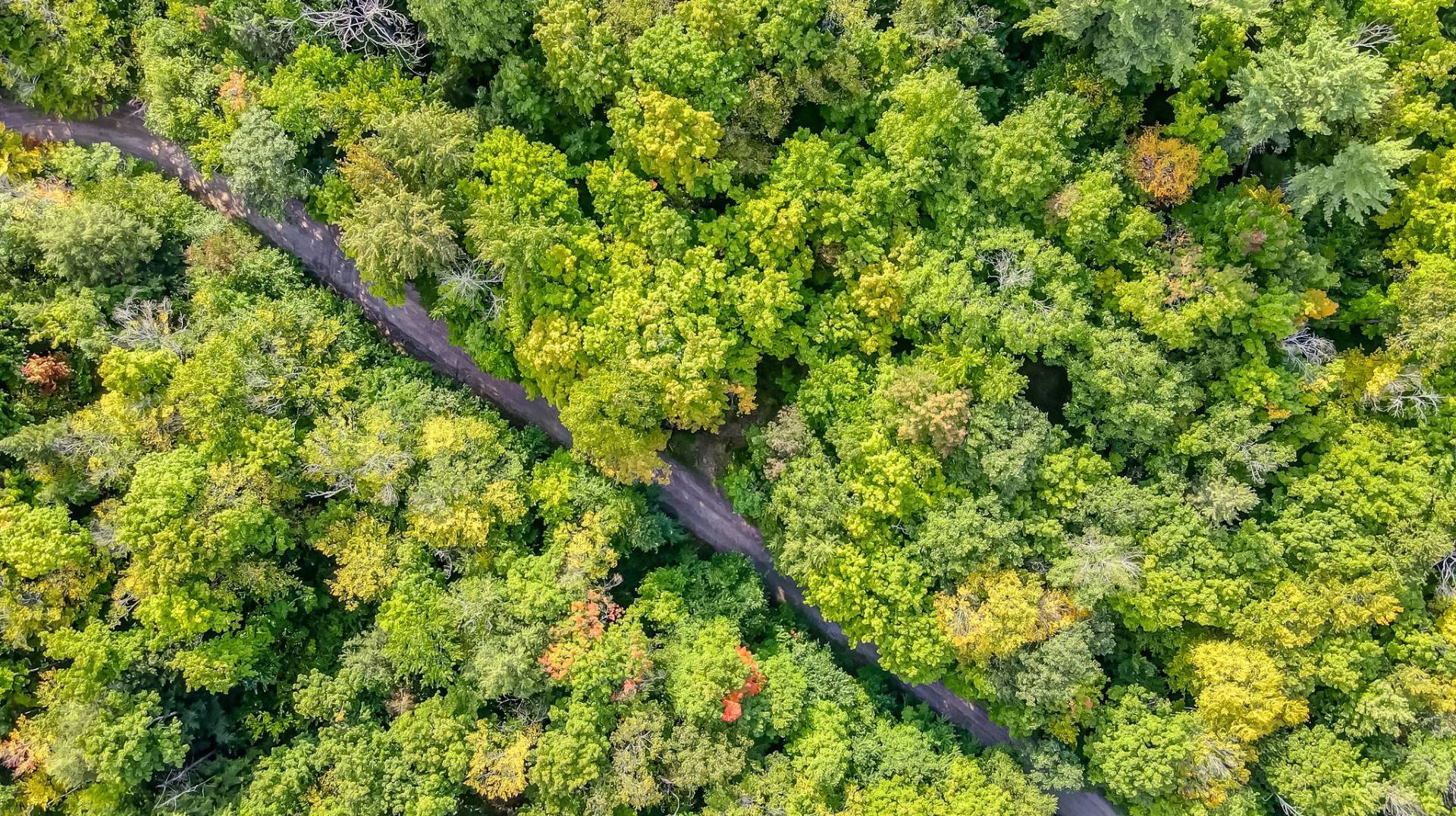 Aerial photo