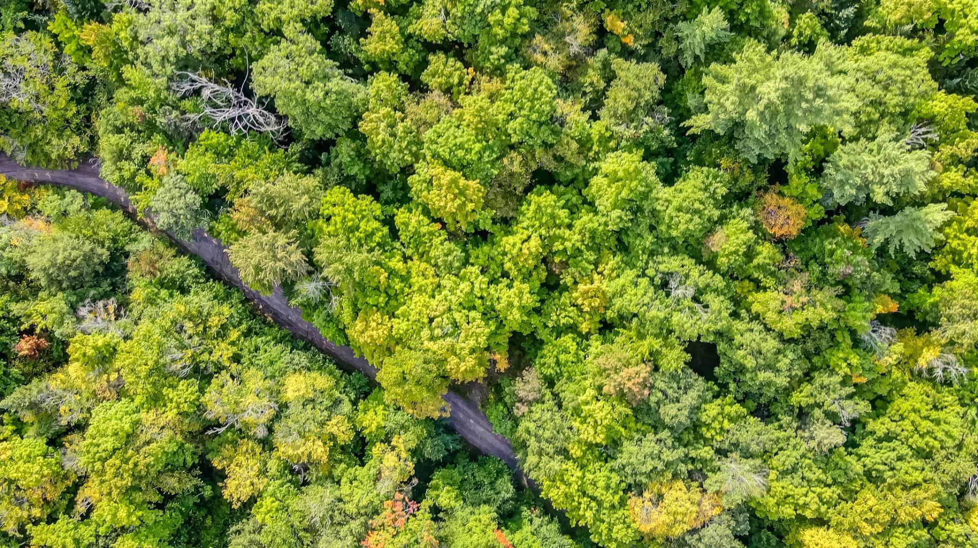 Aerial photo