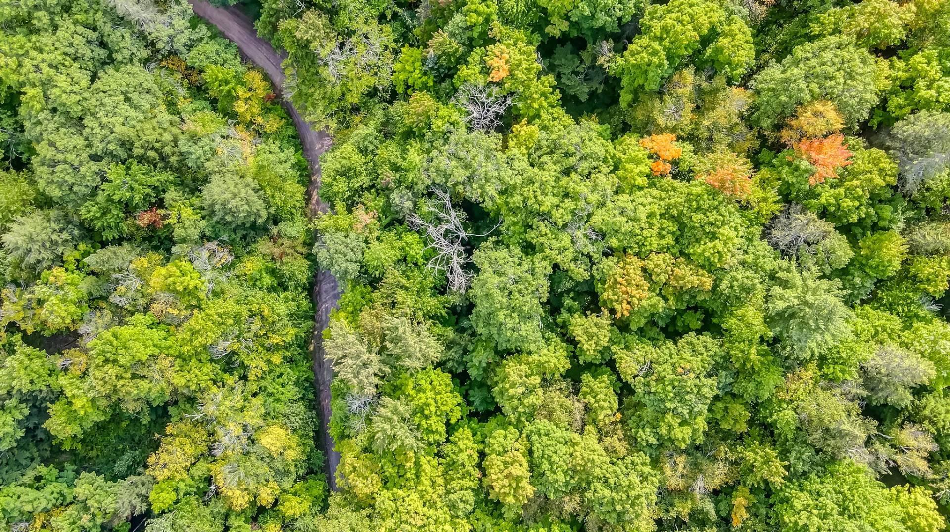 Aerial photo