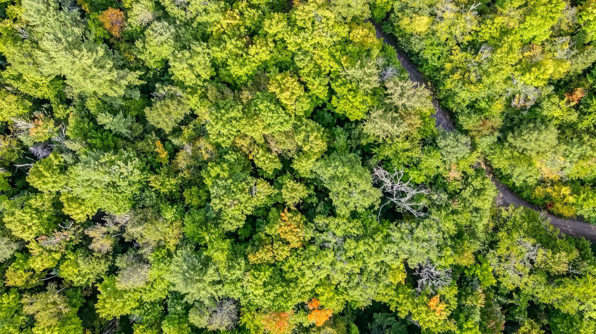Aerial photo