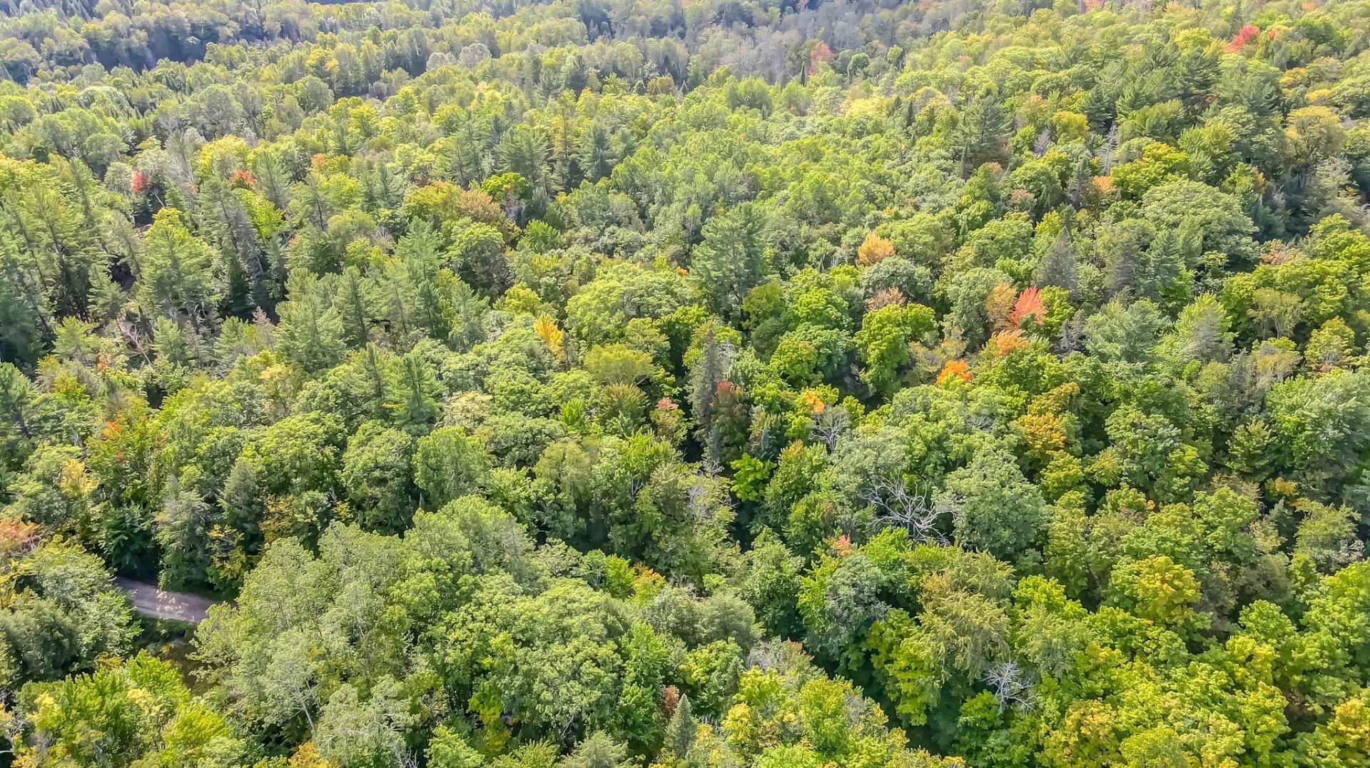 Aerial photo