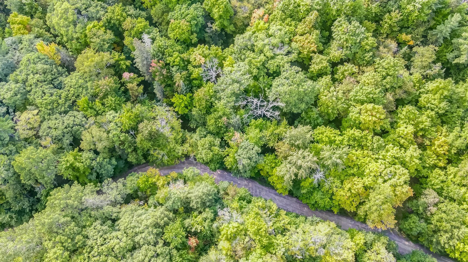 Aerial photo