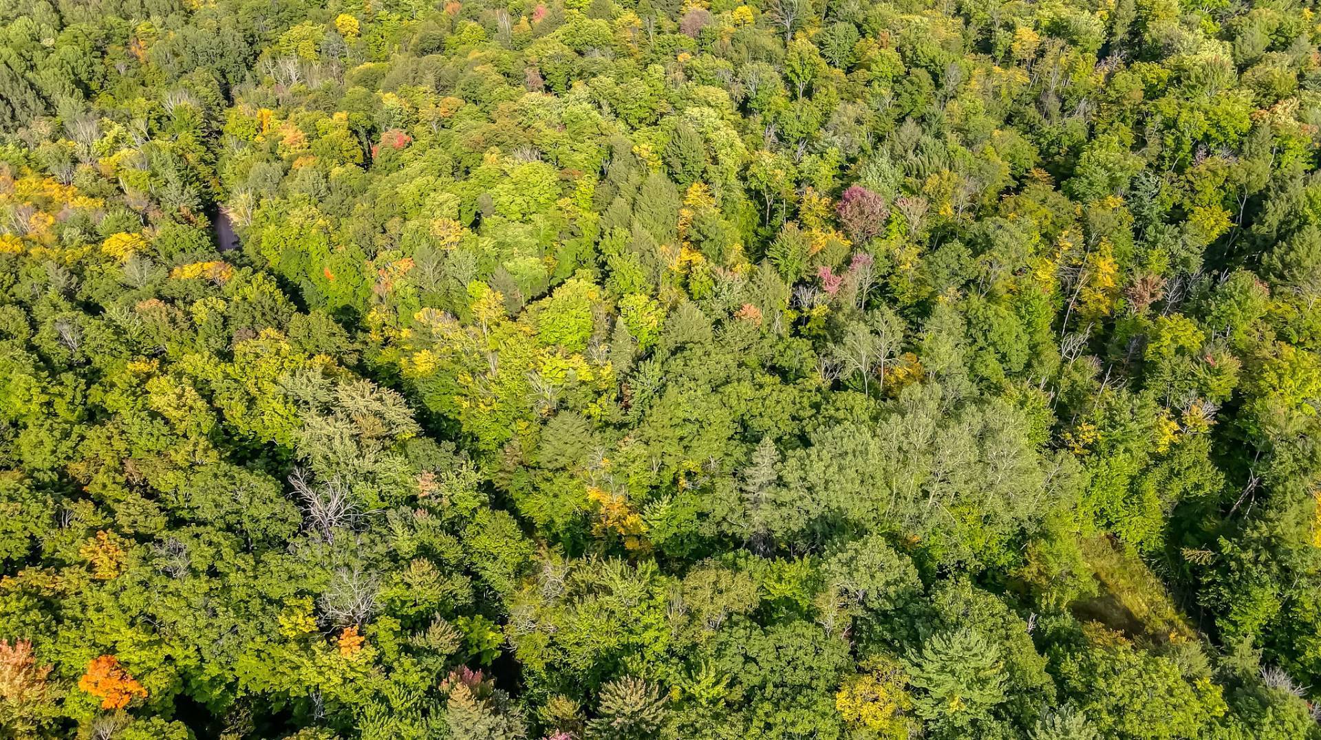 Aerial photo