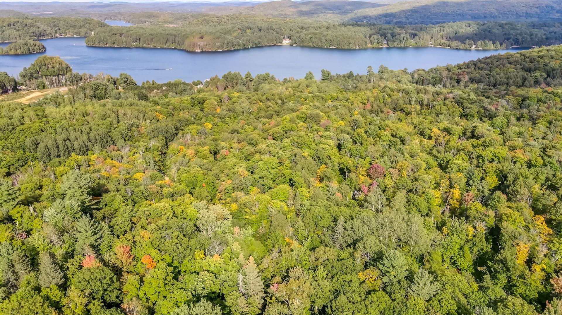 Aerial photo